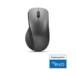 Lenovo professional bt...